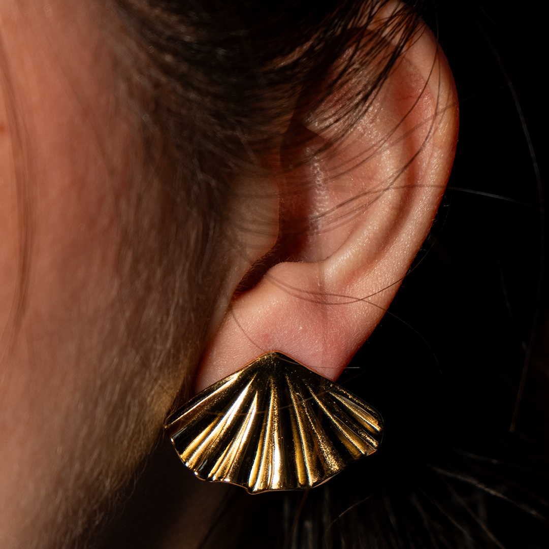 Aretes Tierra