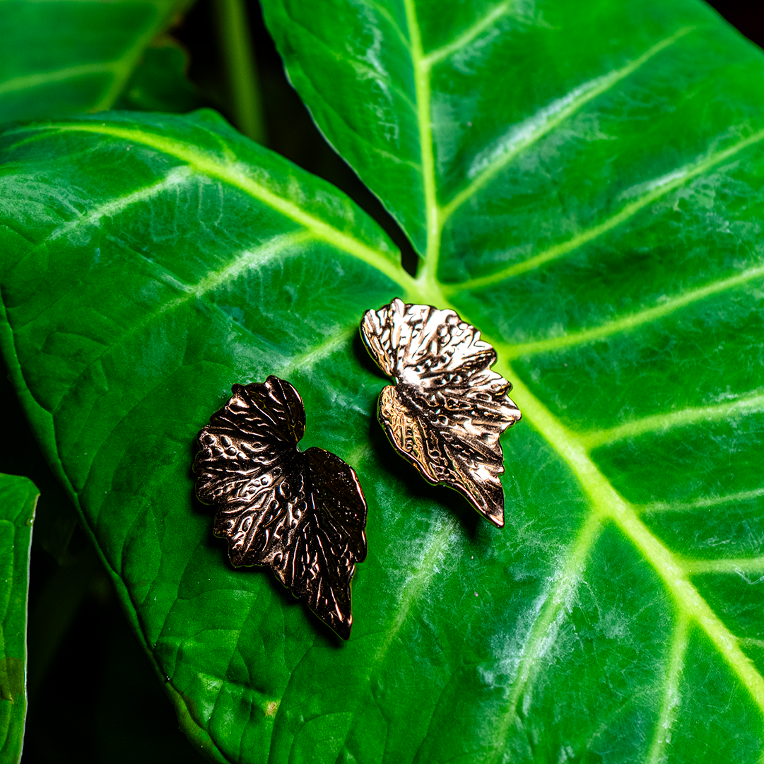 Aretes Tropical