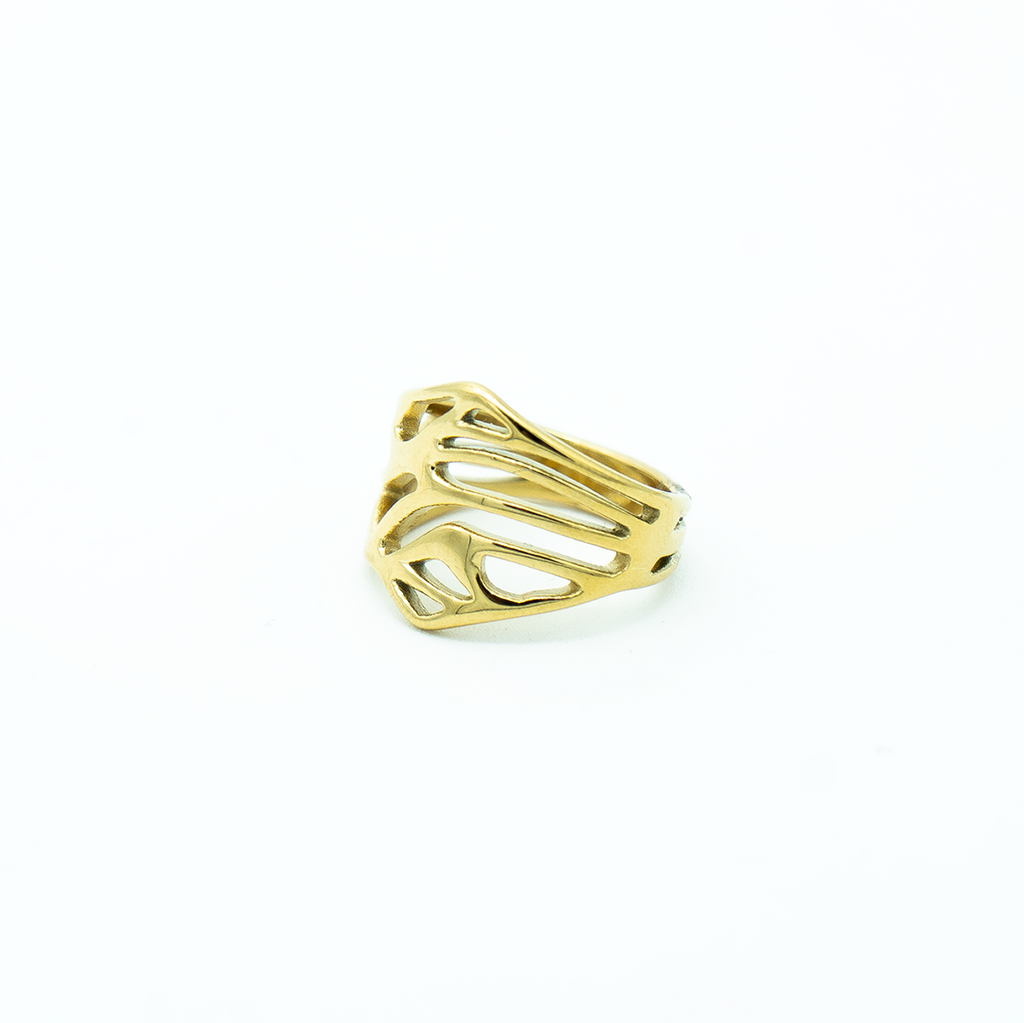 Anillo Corteza