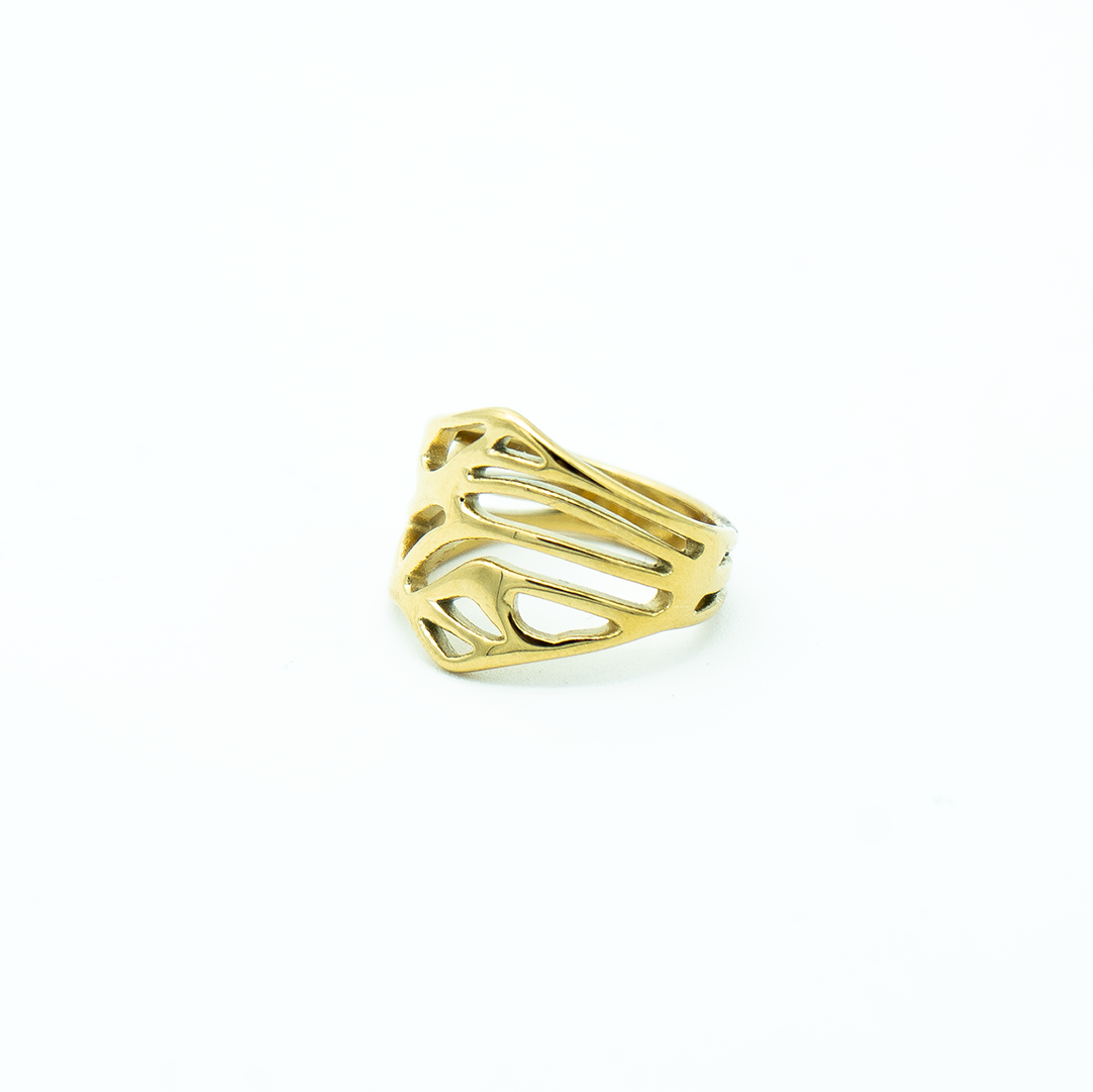 Anillo Corteza