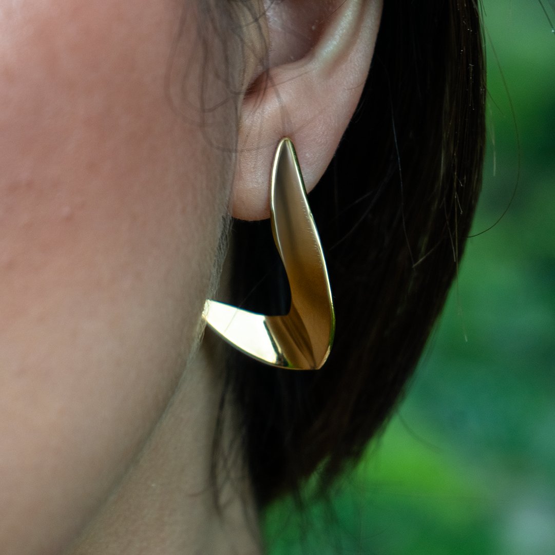 Aretes Musa