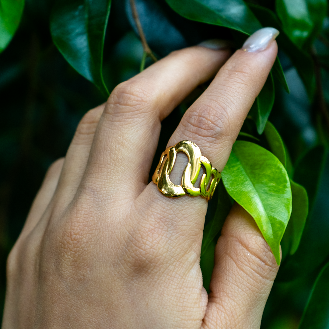 Anillo Conexion