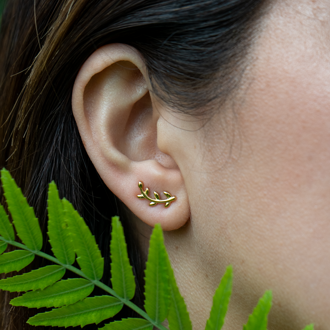 Aretes Fauna