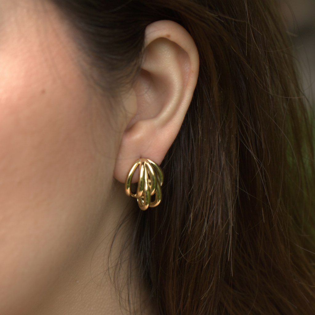 Aretes Escaparate